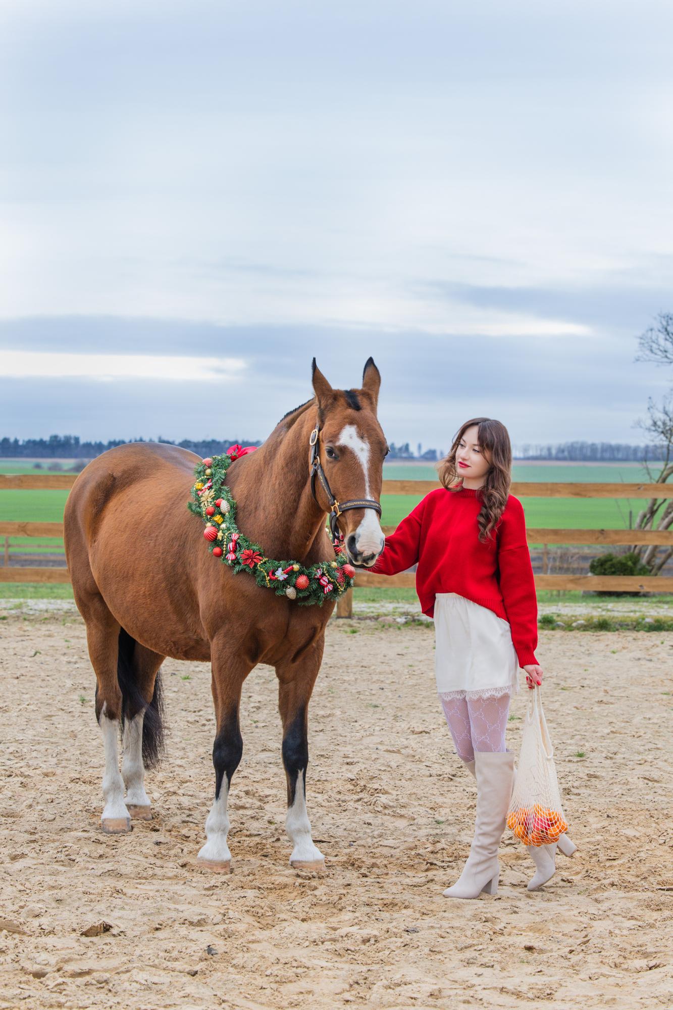 Anastasia & Aibike · photo 10