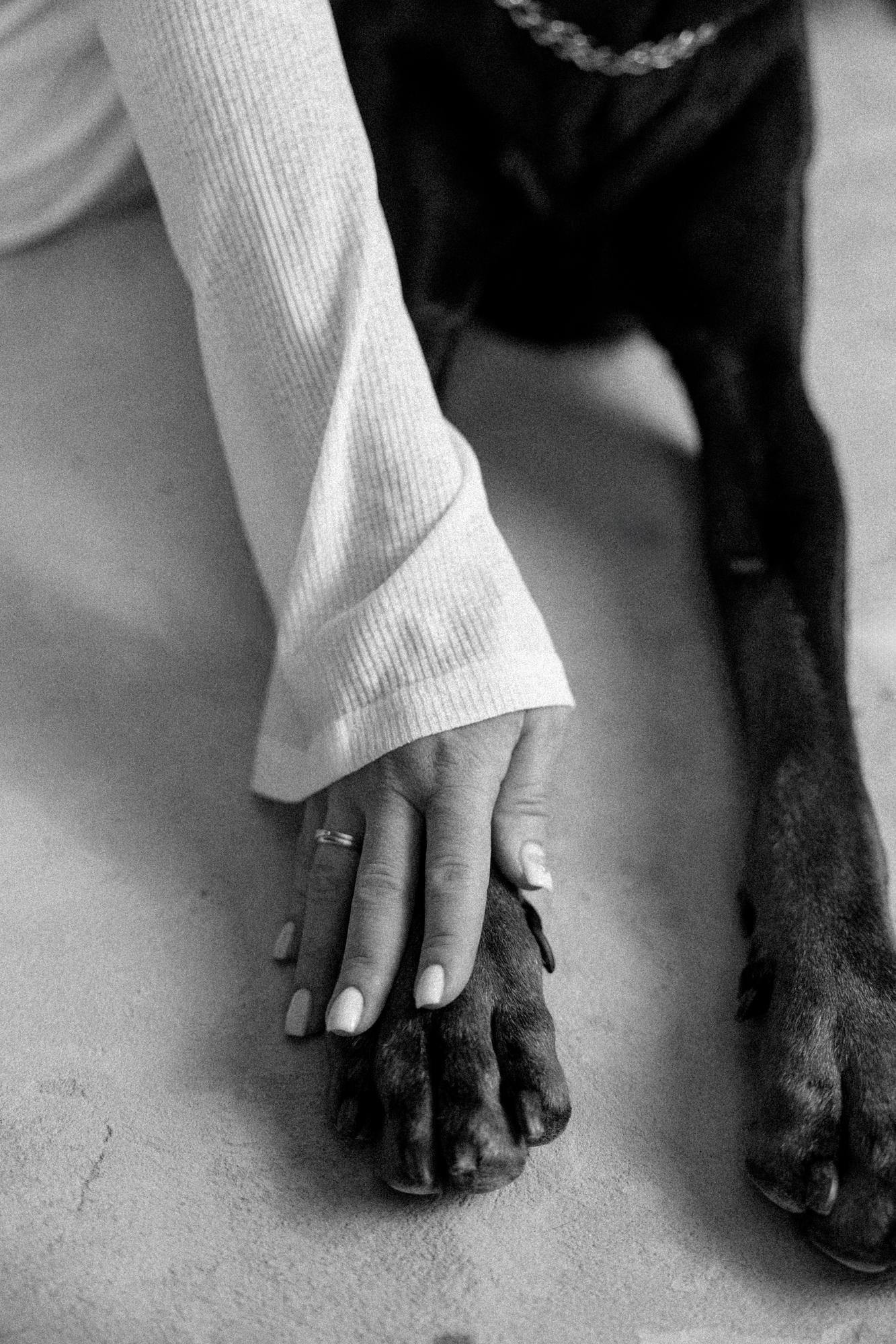 Veronika and Sirius · photo 5