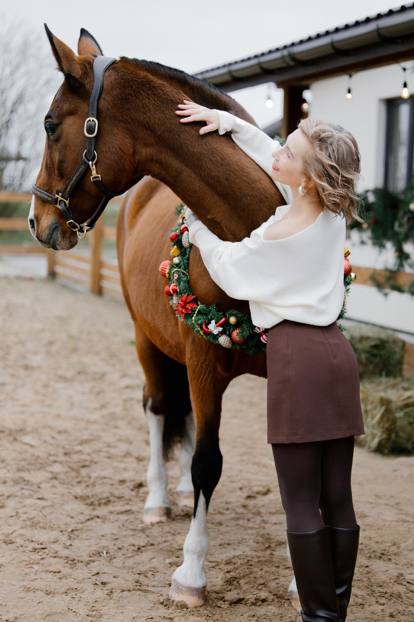 Christmas & New Year Photo Day with a Horse · photo 5