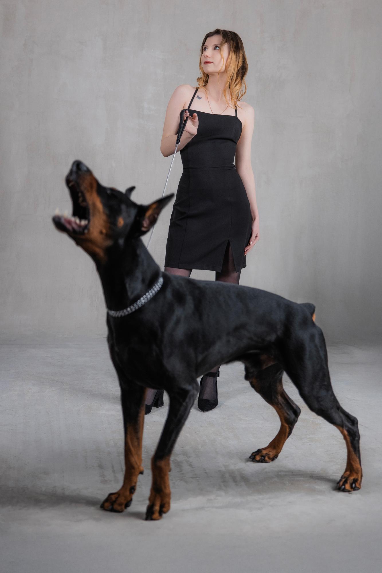 Valeria and Sirius · photo 7