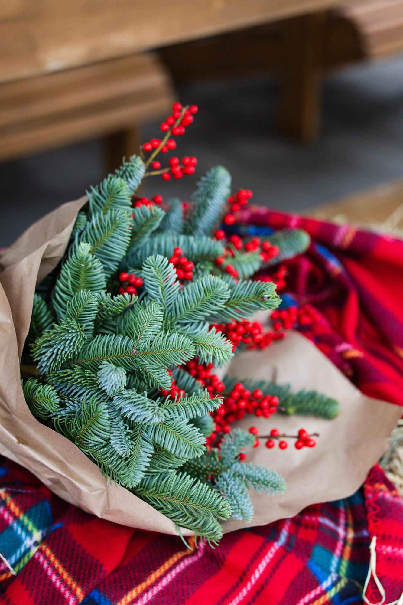 Alexandra & Aibike · photo 9