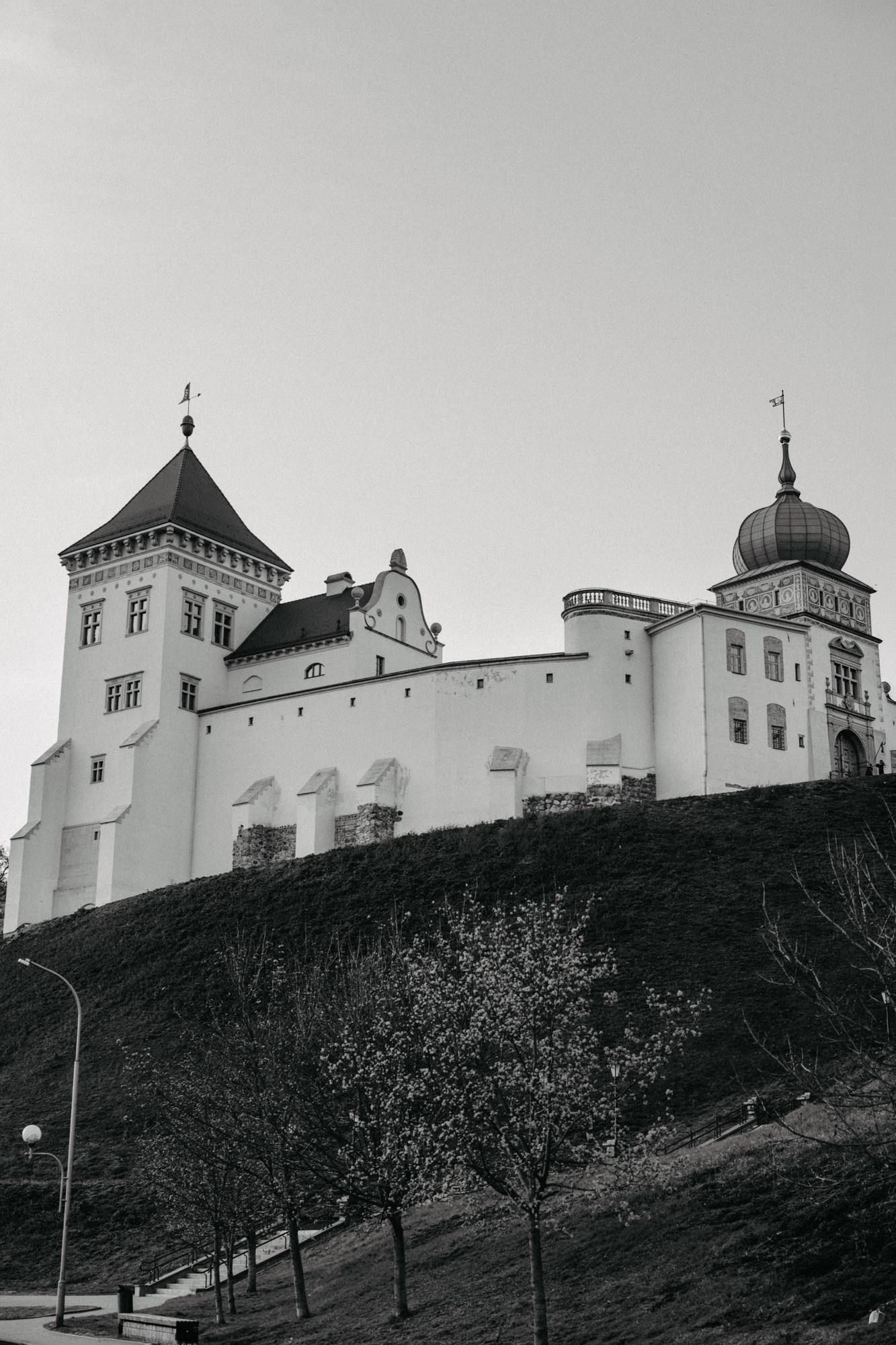 Veronika · photo 5