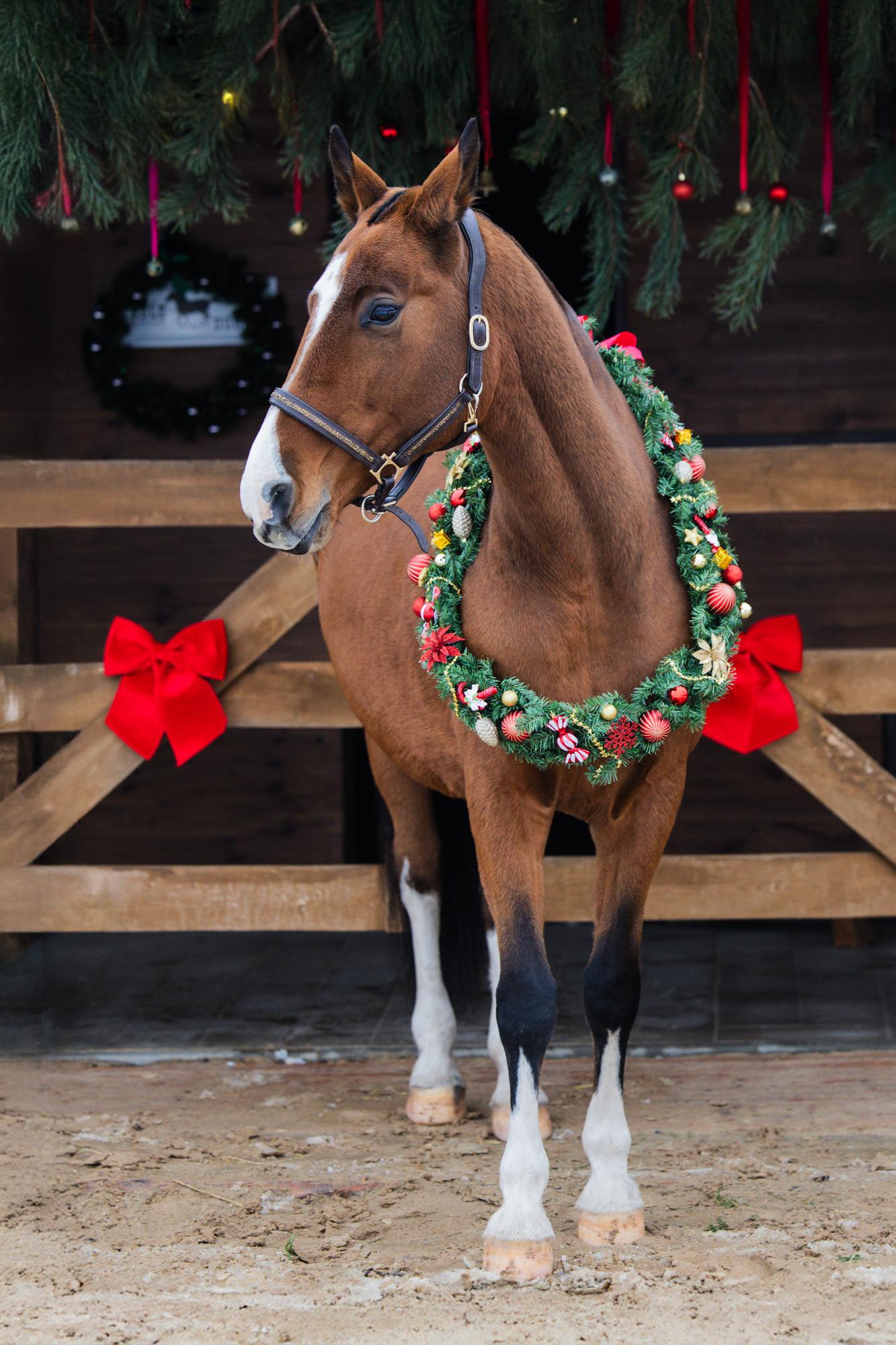 Masha & Aibike · photo 1