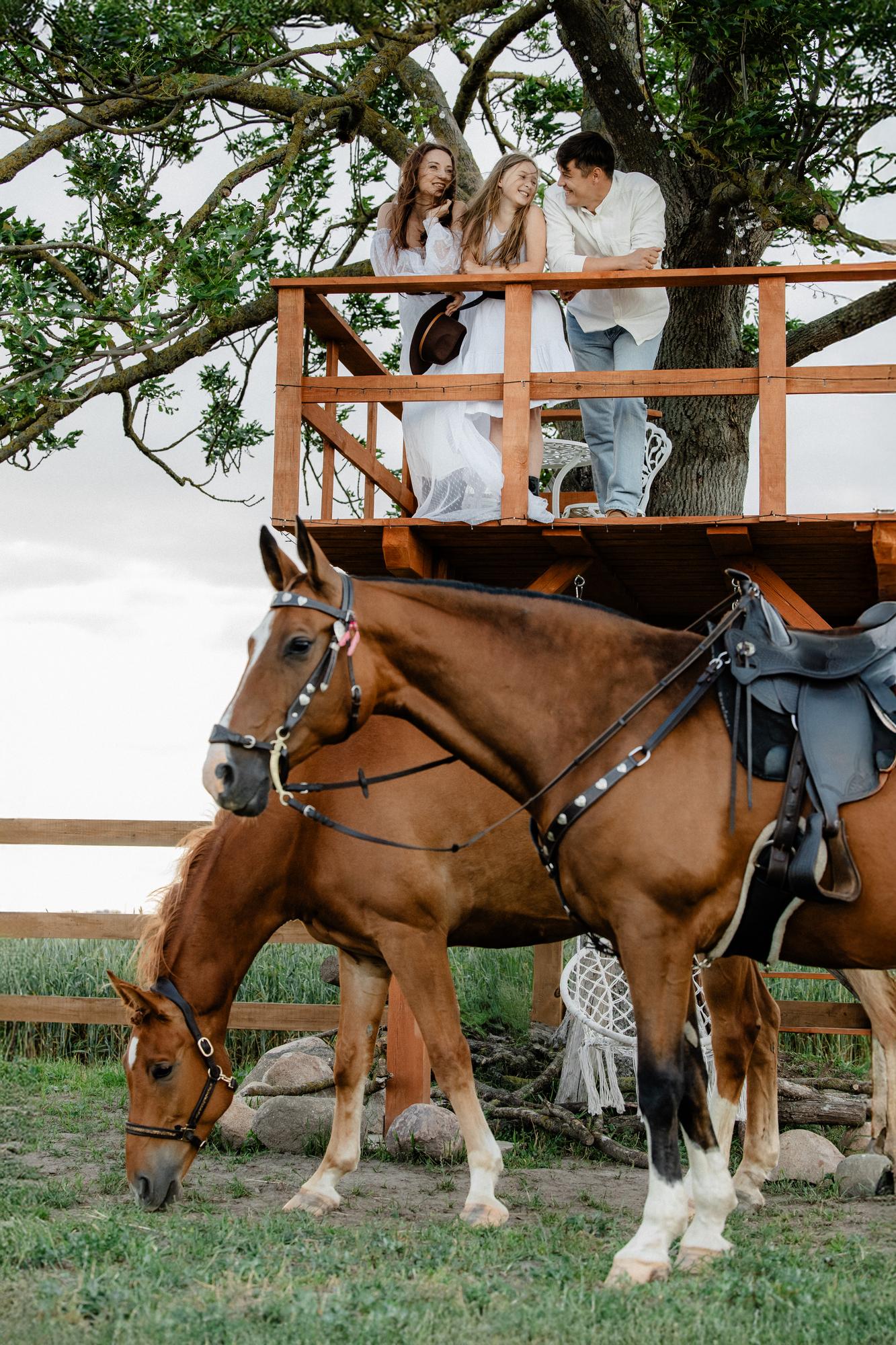 A summer evening at the stable · photo 8