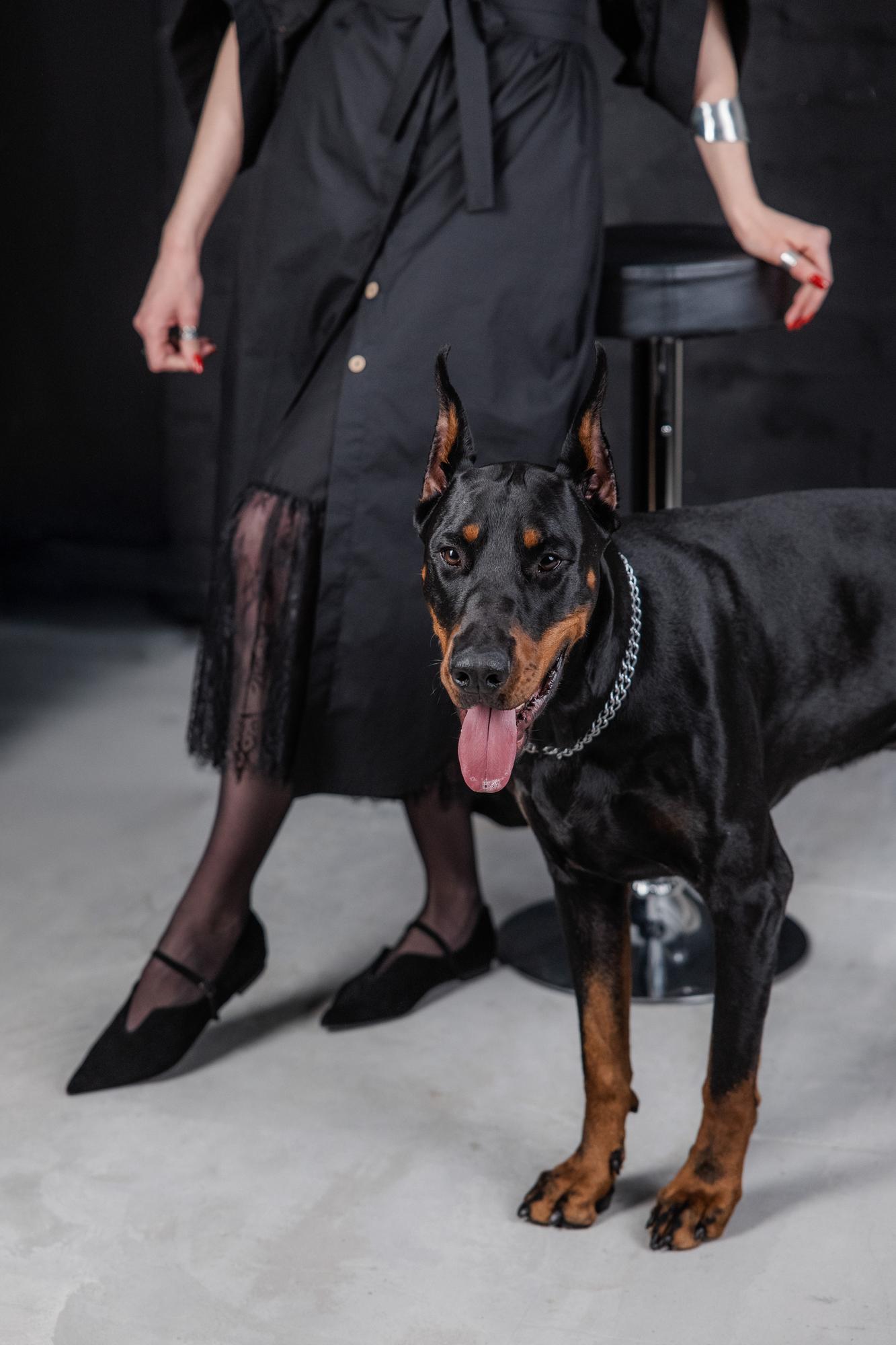 Olga and Sirius · photo 2