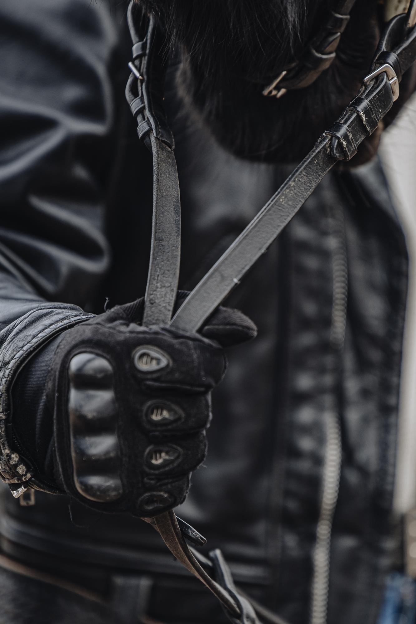 Ilya and Patriot · photo 12