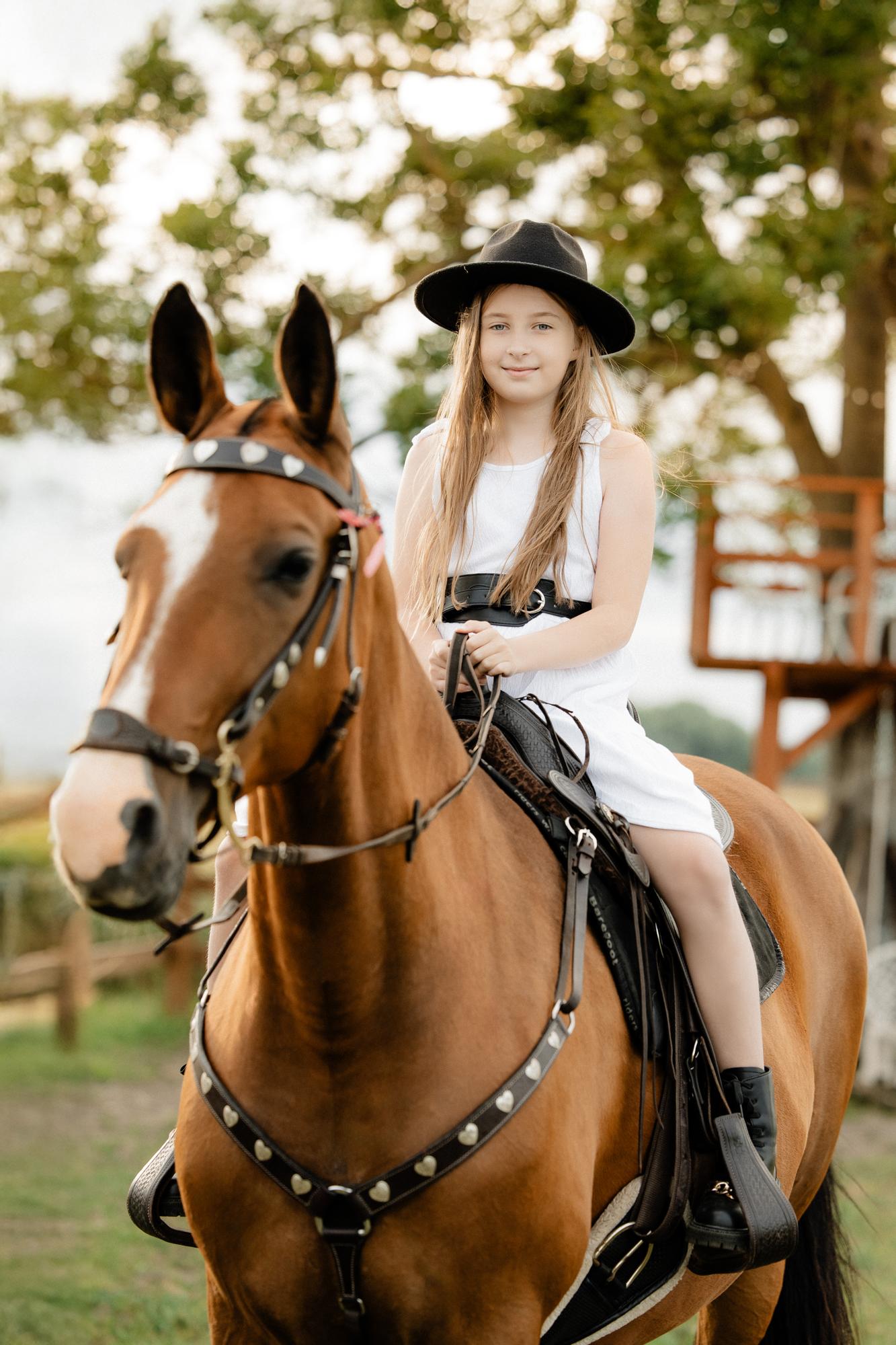 A summer evening at the stable · photo 6