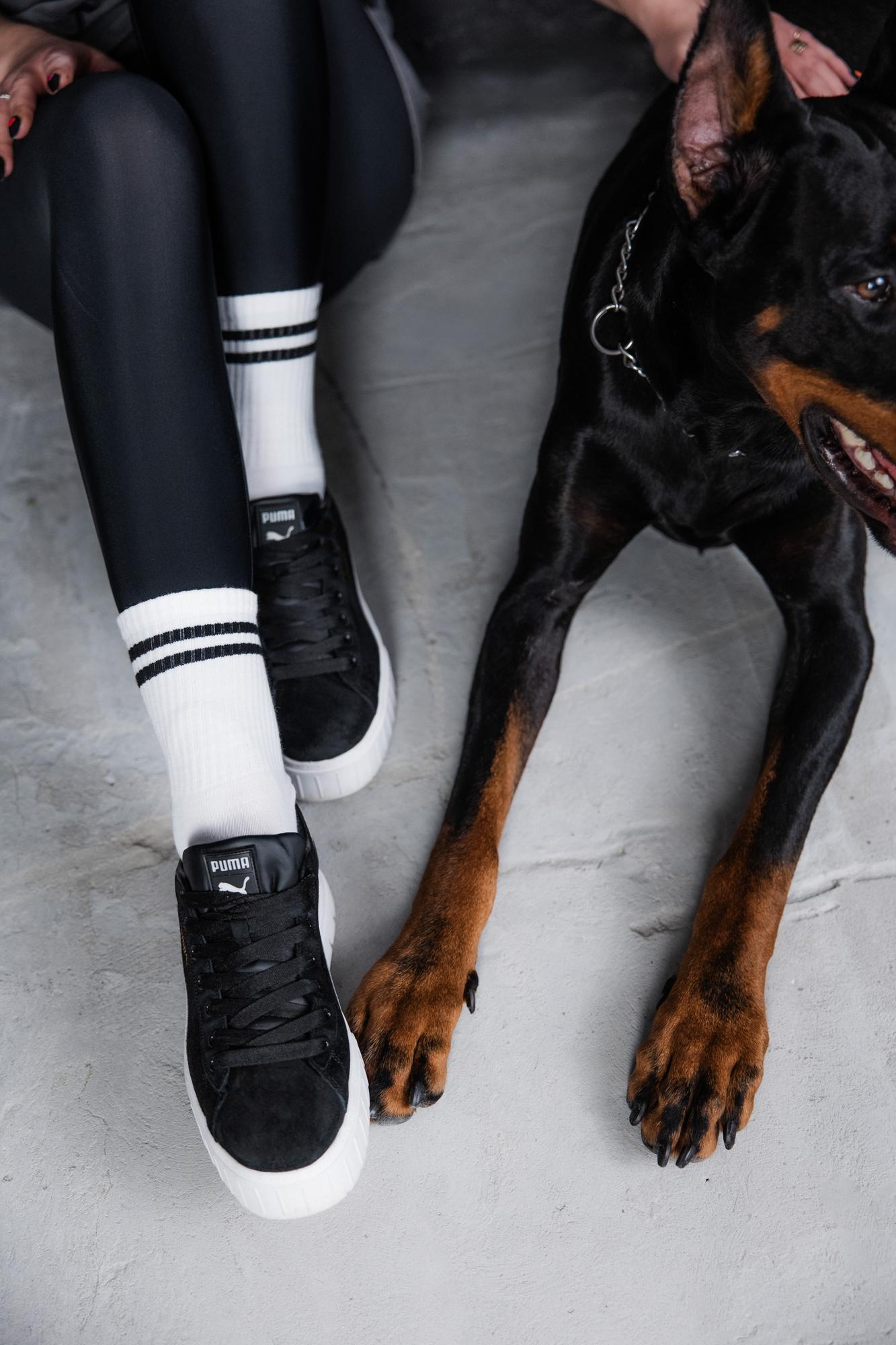 Olya, Zhenya and Sirius · photo 11