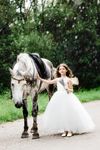 Эвелина и Король · миниатюра 5