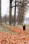 Настя и Пальма · миниатюра 6