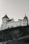 Veronika · thumbnail 5
