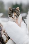 Анна и Мария · миниатюра 7
